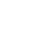 Import and Export data Icon transparent
